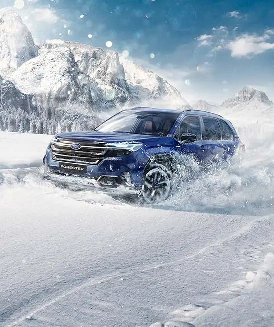 SAFE. 
     Protection is our priority.