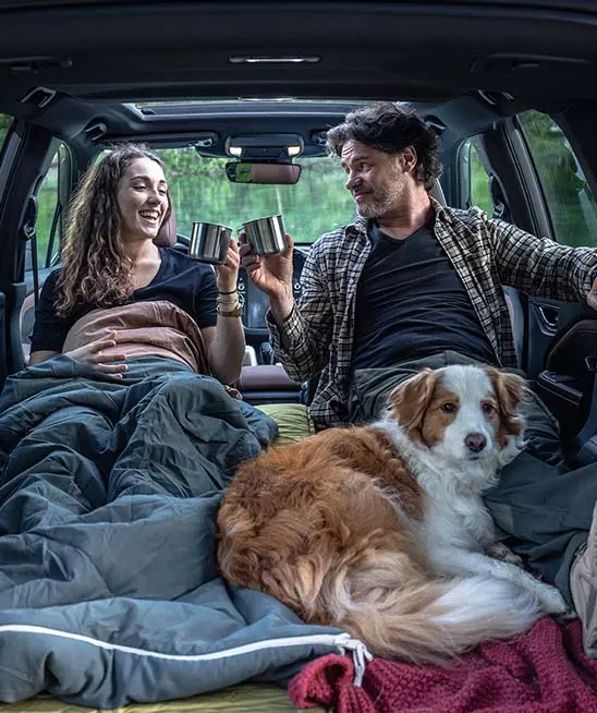 FUN. 
     Enjoy responsive drive with Forester